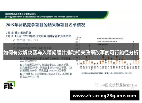 如何有效解决塞鸟入籍问题并推动相关政策改革的可行路径分析