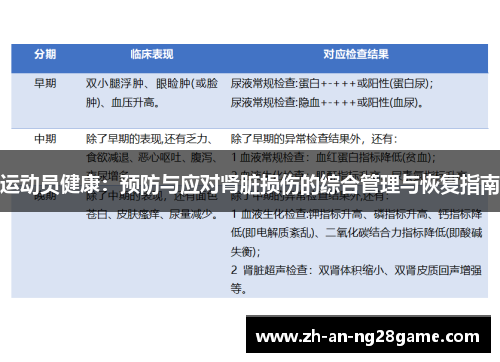运动员健康：预防与应对肾脏损伤的综合管理与恢复指南