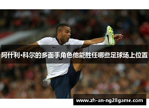 阿什利·科尔的多面手角色他能胜任哪些足球场上位置