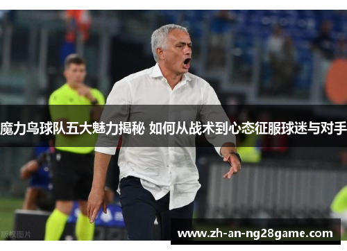 魔力鸟球队五大魅力揭秘 如何从战术到心态征服球迷与对手