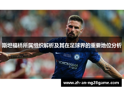 斯坦福桥所属组织解析及其在足球界的重要地位分析 斯坦福桥所属组织解析及其在足球界的重要地位分析